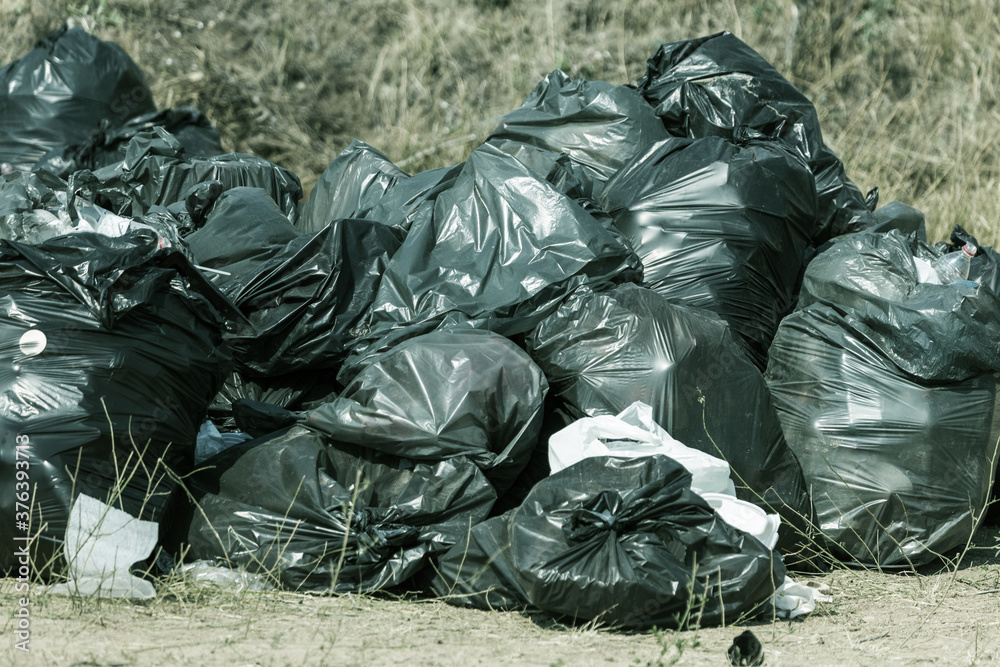 A large pile of garbage in black plastic garbage bags clogs the ecology of the city park. The ecological problem of utilization of industrial and domestic waste of a large city. Garbage in bags A large pile of garbage in black plastic garbage bags clogs the ecology of the city park. The ecological problem of utilization of industrial and domestic waste of a large city. Garbage in bags