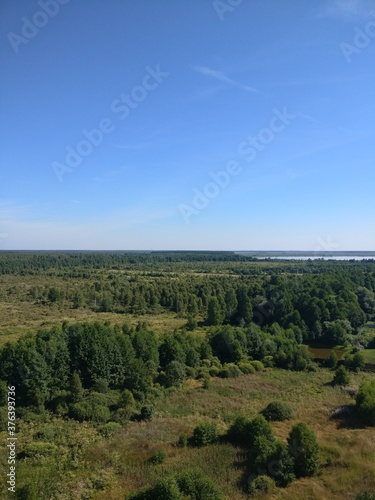 landscape with trees