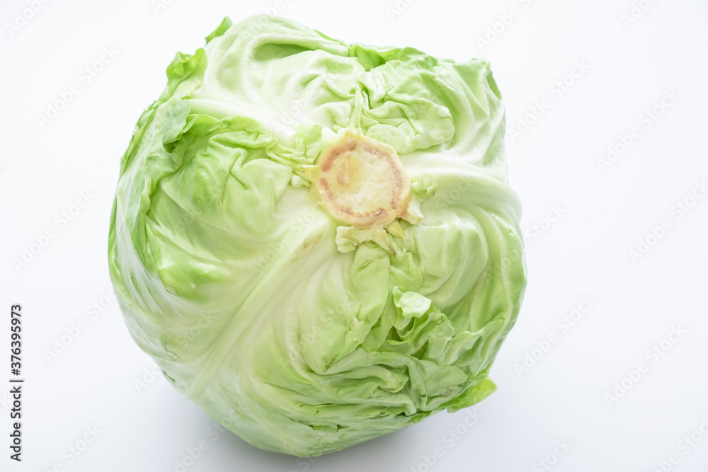 Fototapeta premium White cabbage on a white background.