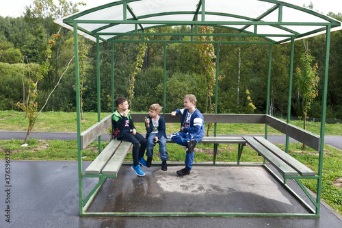 Three boys on picnic in park