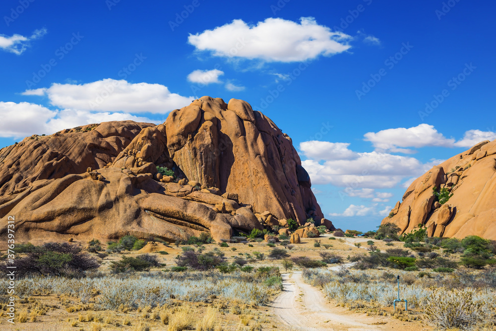 Fototapeta premium Picturesque desert Namib