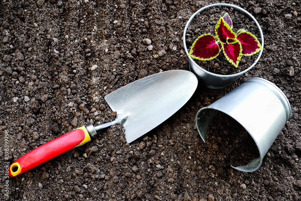 Gardening tools. Soil and fertilizer. Cultivation and gardening Gardening tools. Soil and fertilizer. Cultivation and gardening
