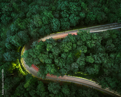 Overhead view of light tails on mountain road amidst forest