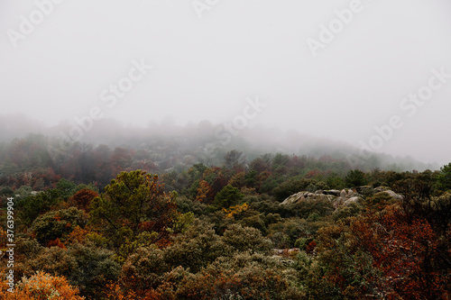 clouds and mists in bad weather in autumn in the forests of the Araitz valley, Navarra
