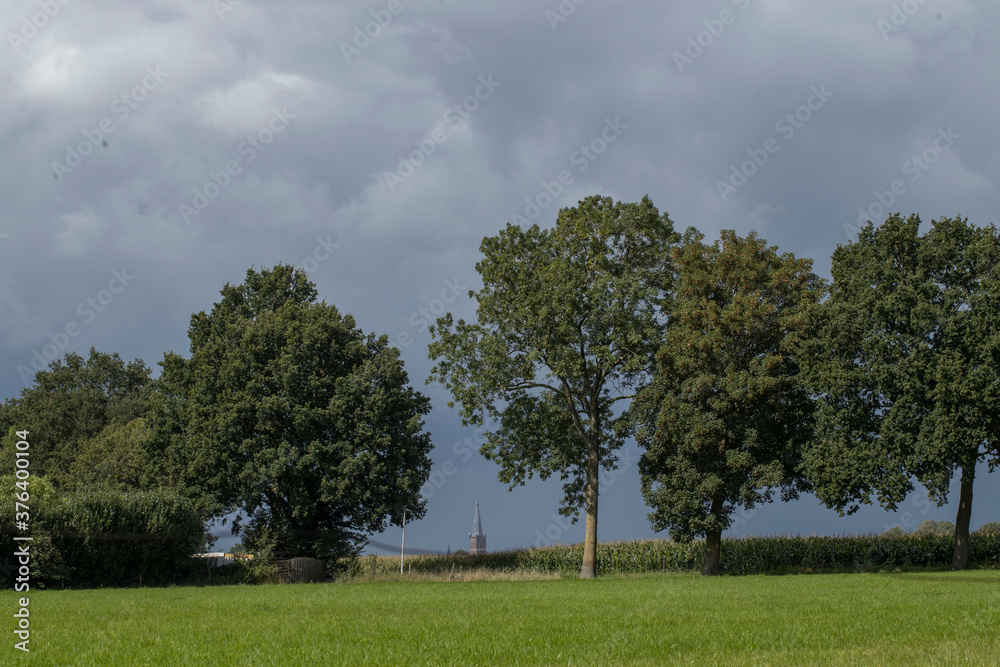 Row of trees. Forest wall. Steenwijk. Overijssel. Steenwijkerland. Netherlands. De Kamp. Alder trees. Dark clouds. Row of trees. Forest wall. Steenwijk. Overijssel. Steenwijkerland. Netherlands. De Kamp. Alder trees. Dark clouds.