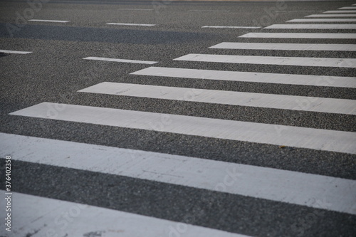 横断歩道3