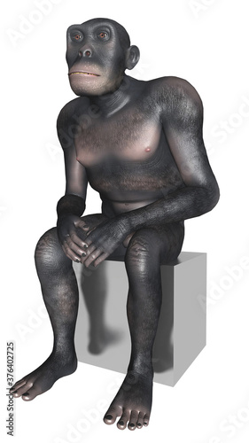 Homo habilis sitzt auf einem Quader  Freisteller