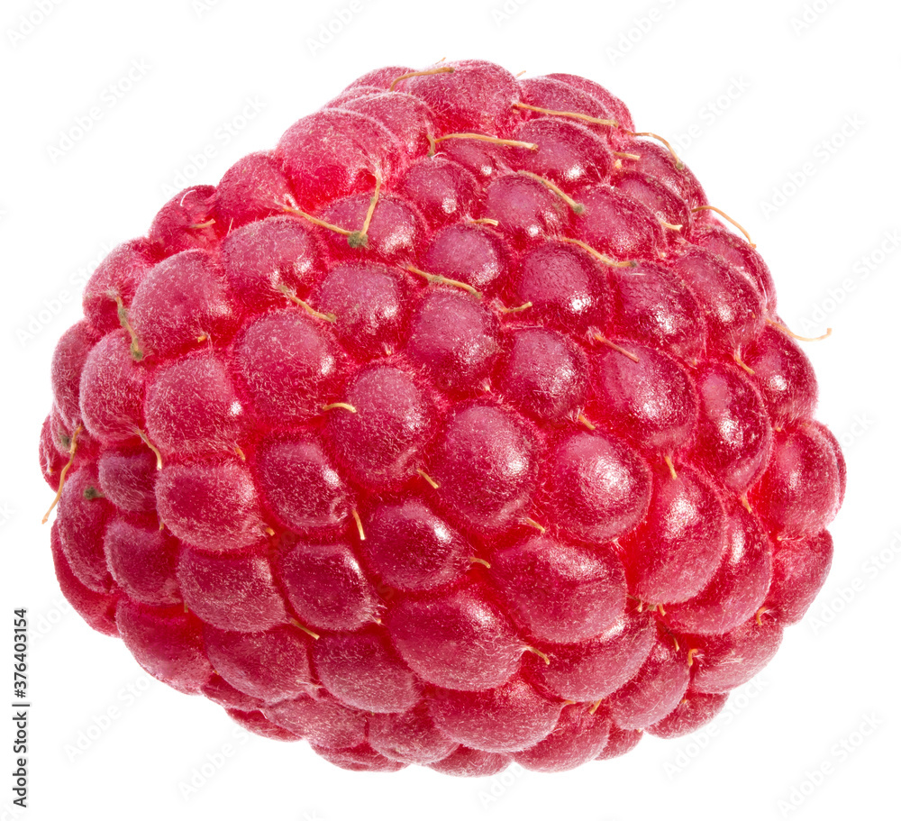 one raspberry isolated on white background. macro. full depth of field one raspberry isolated on white background. macro. full depth of field