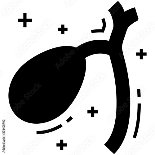 Bladder 