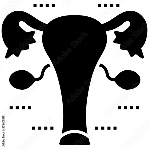 Uterus 