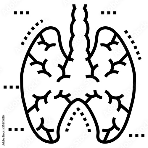 Lungs 