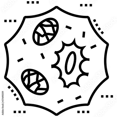 Body Cell