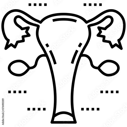 Uterus 