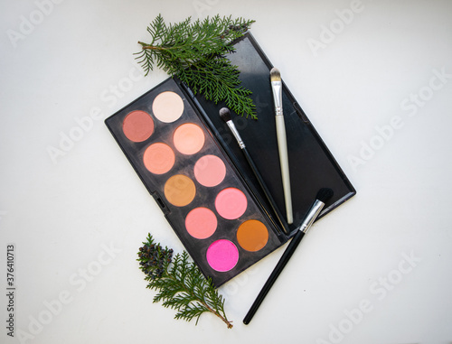 Professional makeup eyeshadow palette closeup. Makeup brushes. Green plant branches. Flatlay. White background.