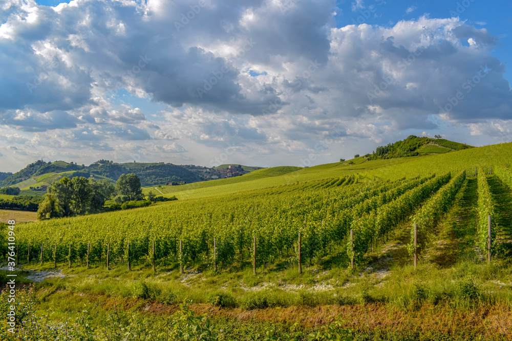 Vineyards with cloudy sky in the southern part of Piedmont (Italy)