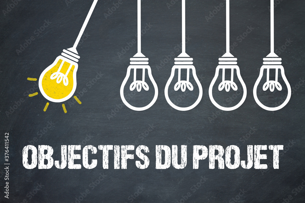 Fototapeta premium Objectifs du projet 