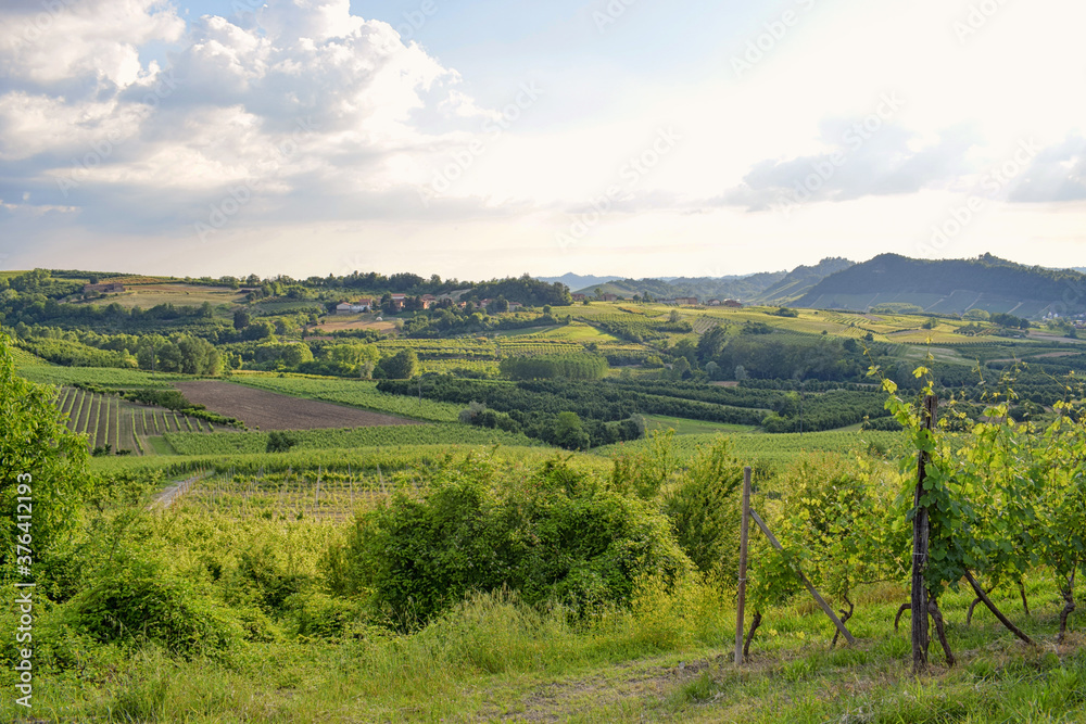 Roero hills in Piedmont, Italy