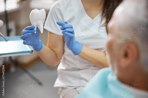 Dental specialist showing a tooth replica to a patient