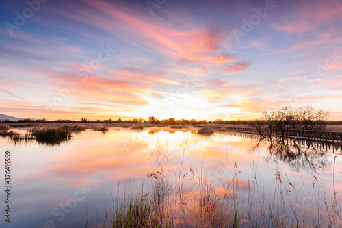 parque nacional Tablas de Daimiel  Ciudad Real  Castilla-La Mancha  espa  a  europa