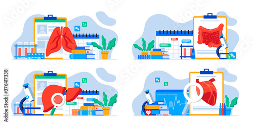 Human internal organ set. Anatomy concept. Heart, lungs, Intestine and liver. Therapist make diagnosis. anatomical and medical inner organs disease treatment. Pharmacy research system