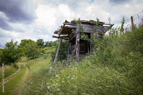 rural house neer green vineyeard photo