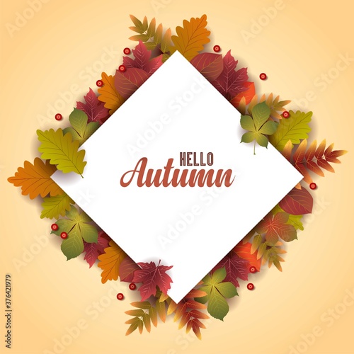 Autumn stylish background decorate with leaves and fruits. shopping sale web banner.Vector illustration poster template.