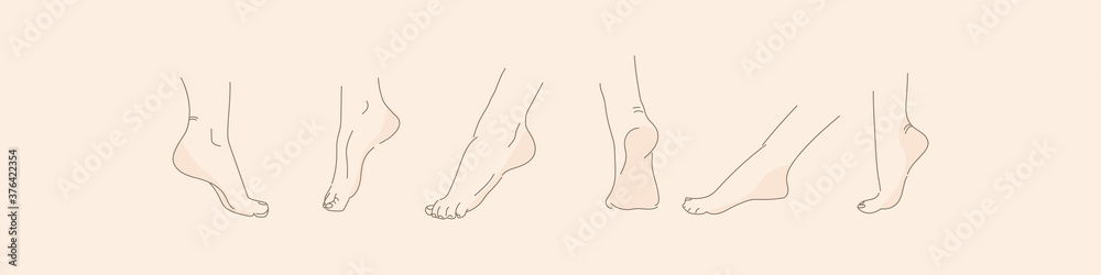 Vector human foot in various poses. Hand drawing with a line. Set of female feet for design. Stock Vector | Adobe Stock Vector human foot in various poses. Hand drawing with a line. Set of female feet for design. Stock Vector | Adobe Stock