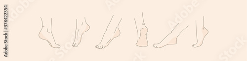 Vector human foot in various poses. Hand drawing with a line. Set of female feet for design.