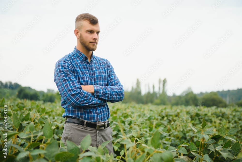 Young farmer in soybean fields Young farmer in soybean fields