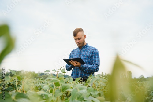 Young handsome agriculture engineer squatting in soybean field with tablet in hands in early summer