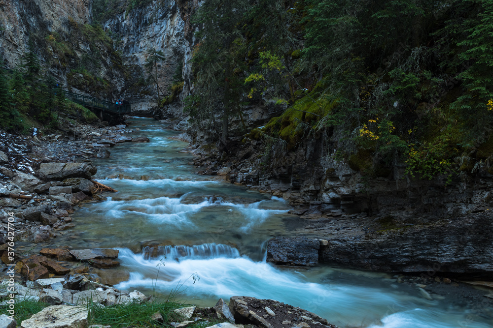 Fototapeta premium Johnston Canyon, Banff, Alberta