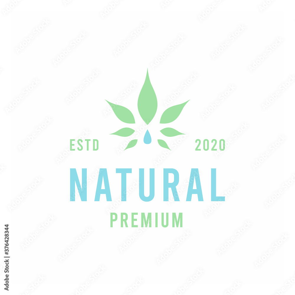 Nature Water premium Vector Logo illustration organic design