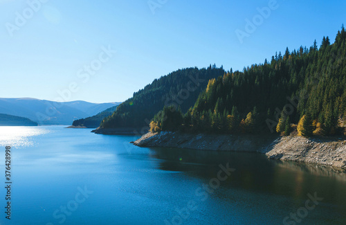 lake shore with pine forest