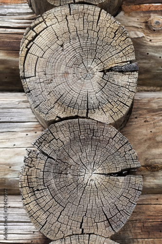 Old logs with round pattern, photo texture