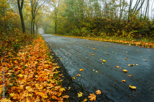 road in autumn park