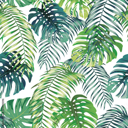 Botanical green seamless pattern leaves Fern and Monstera on white background. Exotic wallpaper design