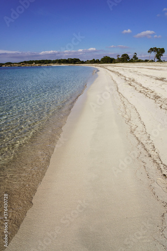 complejo dunar  playa Es Caragol.espacio de alta proteccion medioambiental  Santaniy comarca de Migjorn  Mallorca. Islas Baleares. Spain.