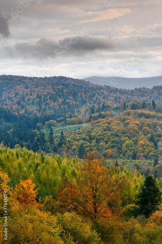 autumn landscape in the mountains, Bieszczady , Poland