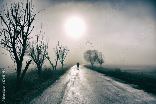 along man in the fog