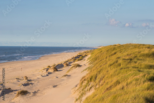 Strand auf Texel, Ozean