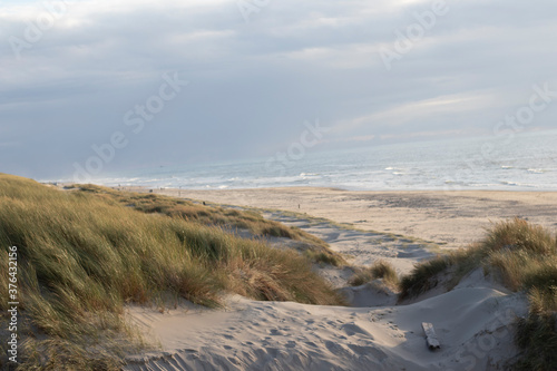 Strand auf Texel, Ozean