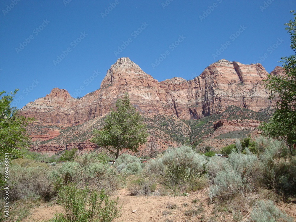 Fototapeta premium Zion National Park