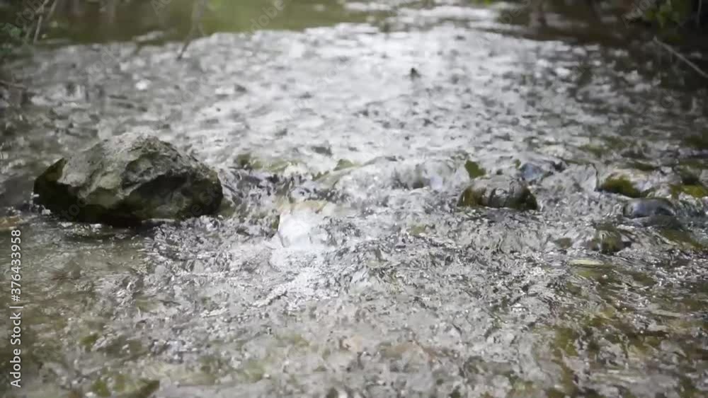 Water flowing down a forest stream in the middle of nature - Water flowing down the rocks of a river
Water flowing down a forest stream in the middle of nature - Water flowing down the rocks of a river