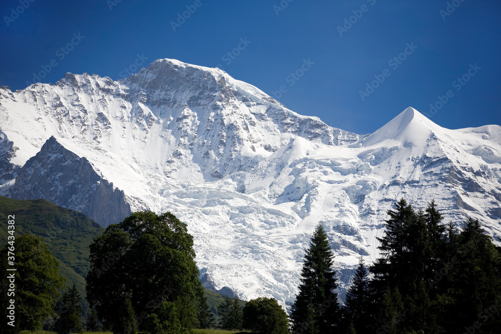 The Jungfrau with its glacier (the Giesengletscher) and the white cone of the Silberhorn towering over Lauterbrunnen valley, Bernese Oberland, Switzerland