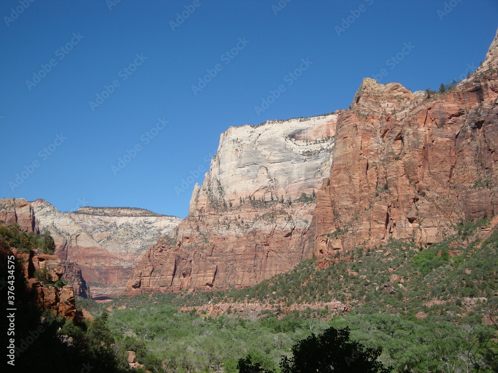 Fototapeta premium Zion National Park