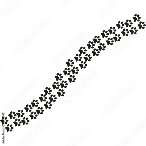 Footpath trail of animal. Dog or cat paws print isolated on white background.