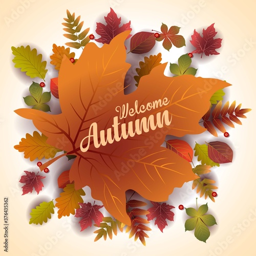 Autumn stylish background decorate with leaves and fruits. shopping sale web banner.Vector illustration poster template.