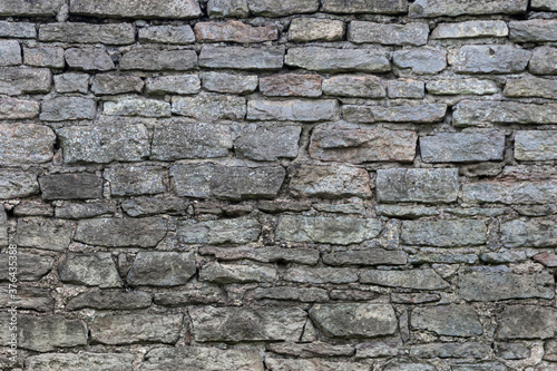 The surface of an old stone wall, masonry of uneven wild hewn stones.