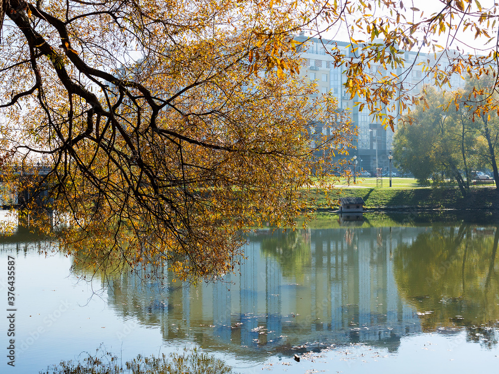 Obraz premium Authentic autumn landscape pond in city park. Yellow leaves fall to ground and into the water. Colorful autumn landscapes with warm colors and footpath covered with sheets. People relaxing in park
