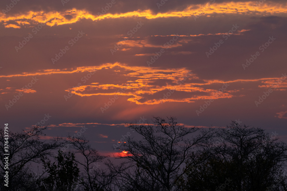 Sunrise over the African Plains